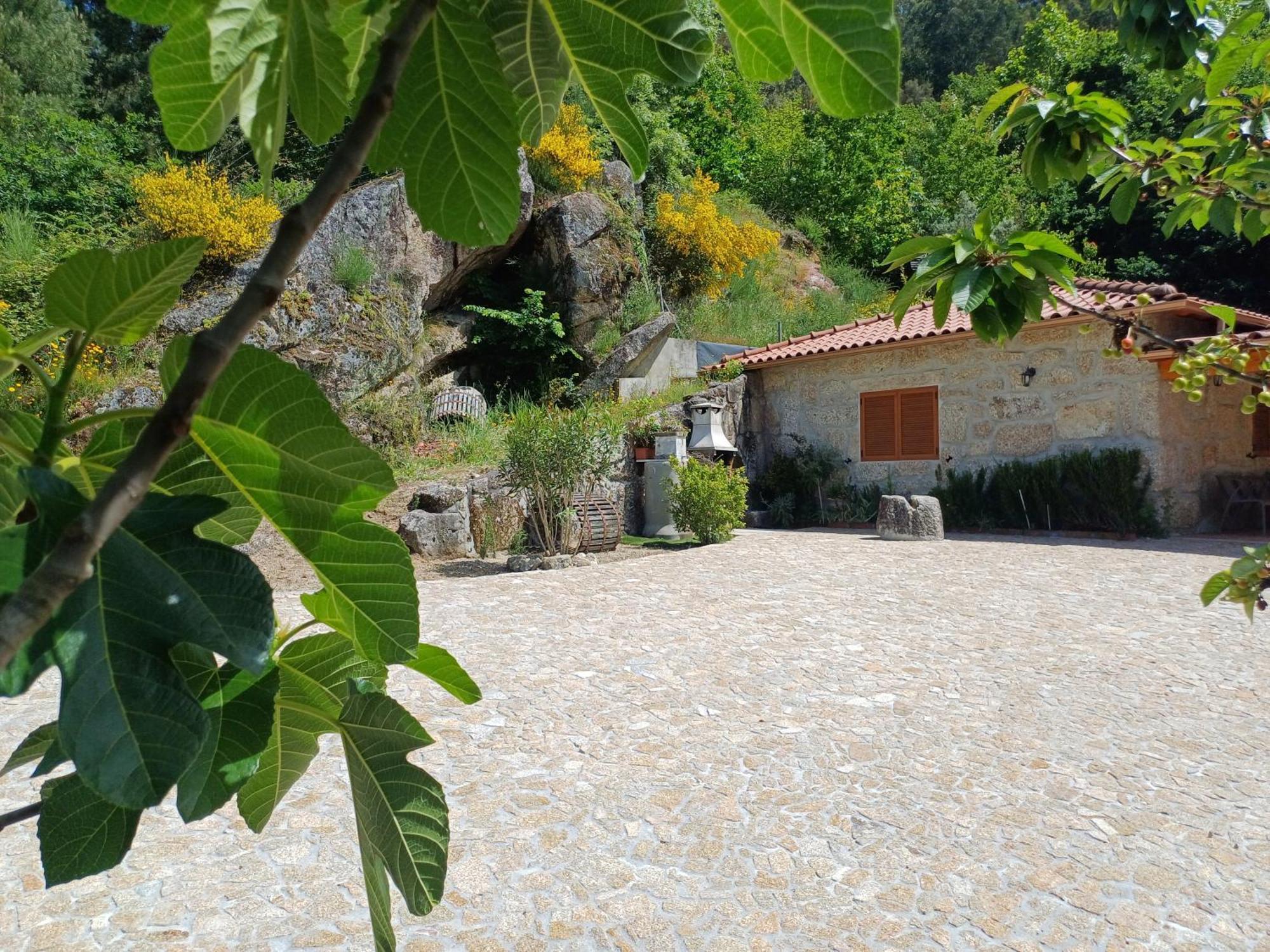 Casa Da Fragoeira Villa Gandarela de Basto Dış mekan fotoğraf